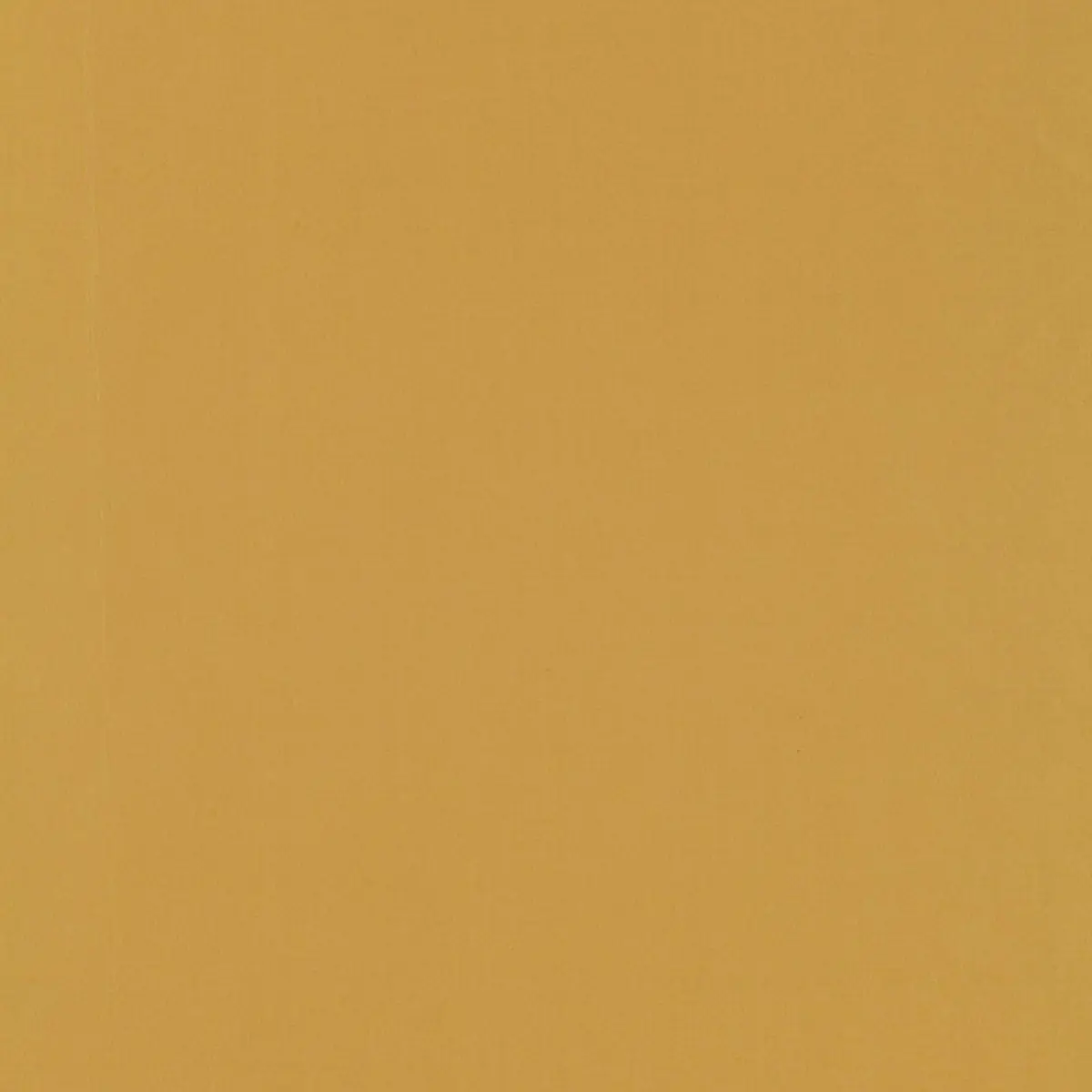 MASACCIO TAFFETA_ GOLDEN