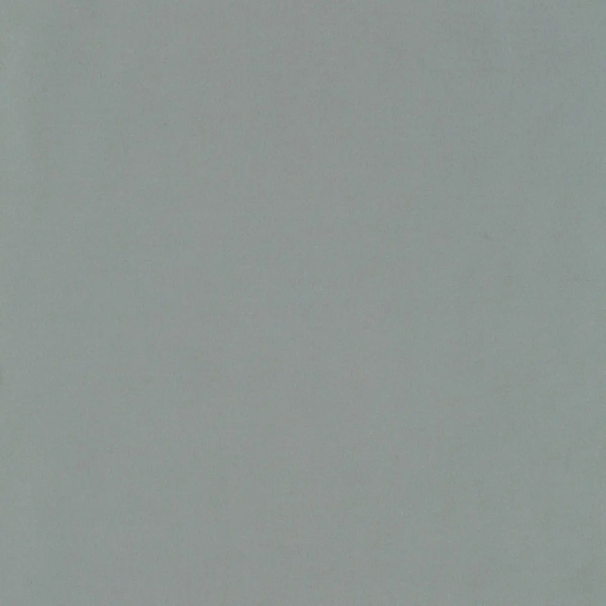 GIORDANO TAFFETA_ MINERAL