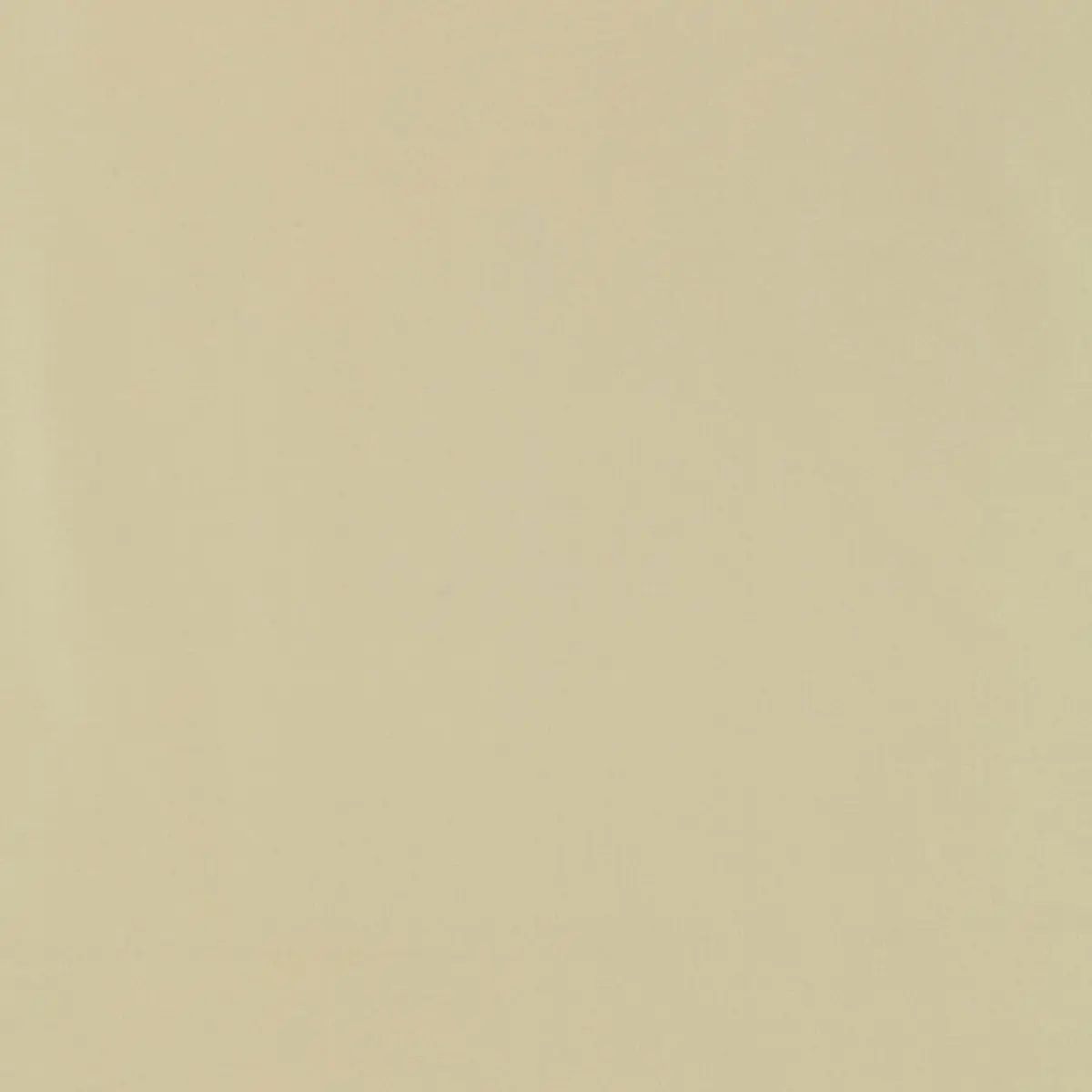 GIORDANO TAFFETA_ BUFF