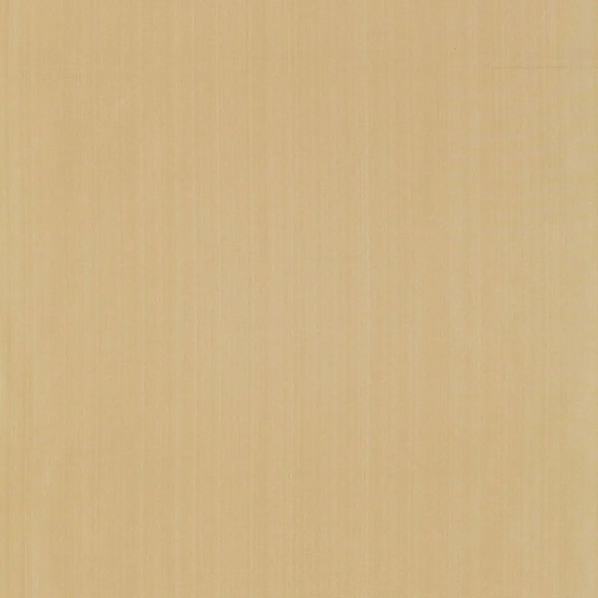GIORDANO TAFFETA_ BISQUE