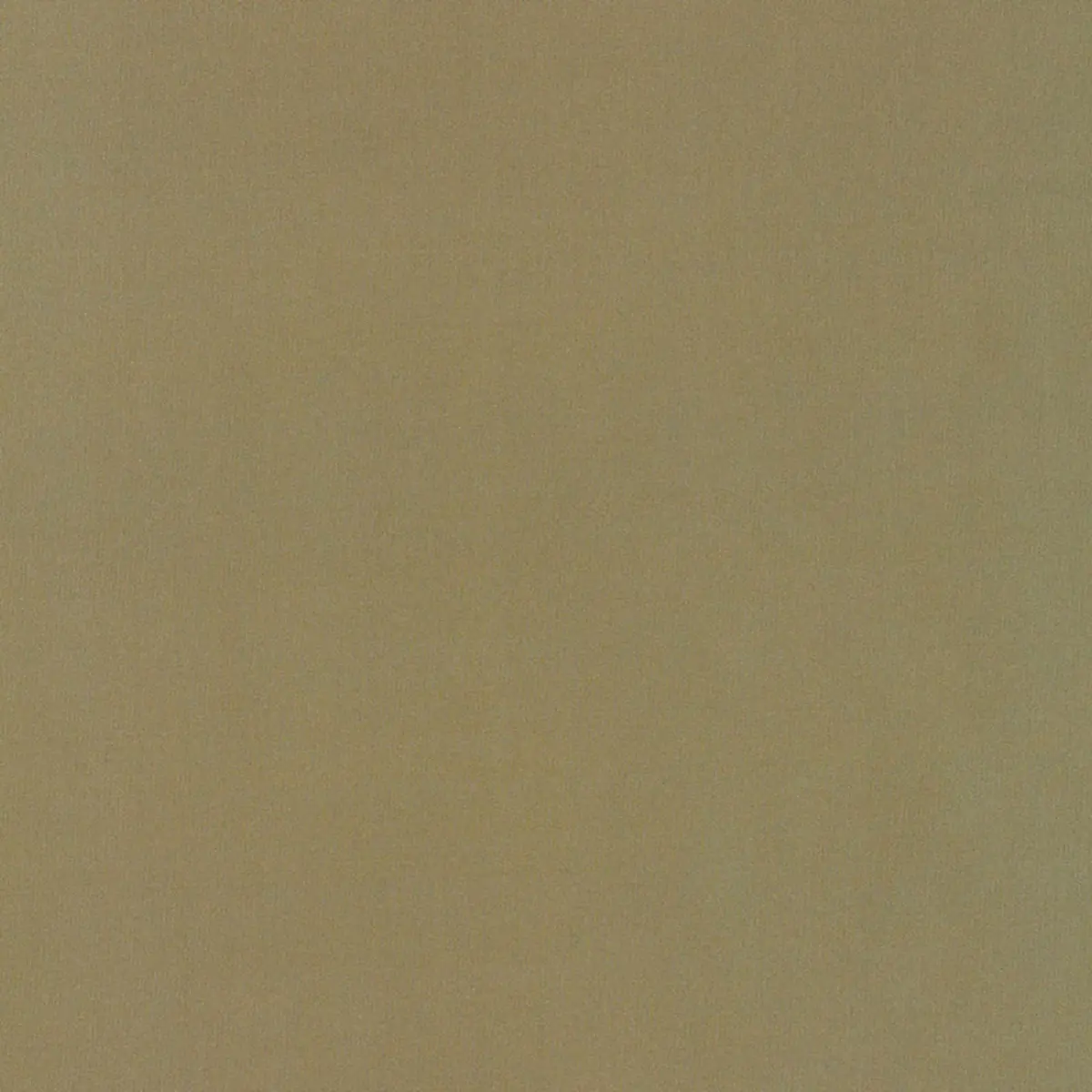 GIORDANO TAFFETA_ TOPAZ