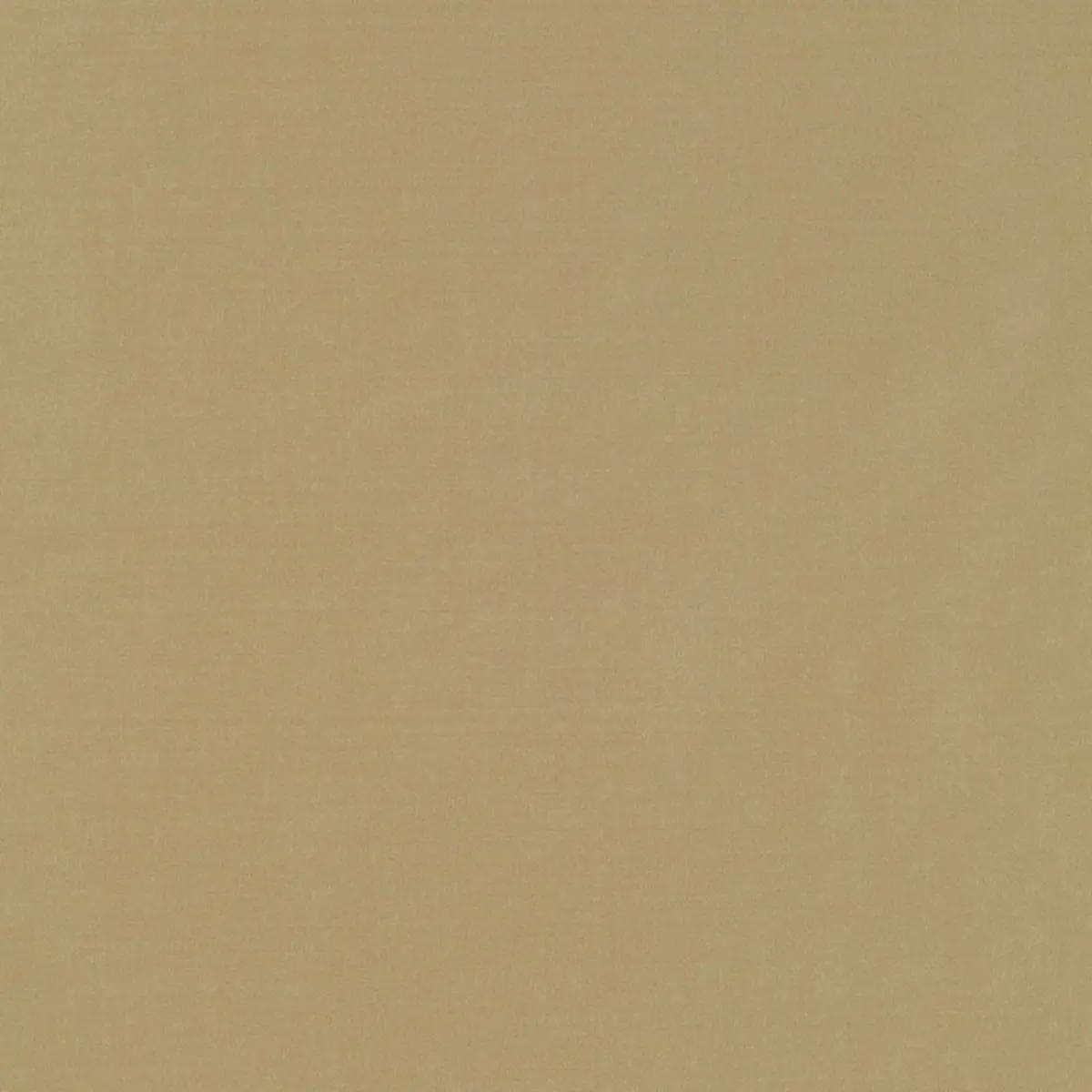 GIORDANO TAFFETA_ SAGE