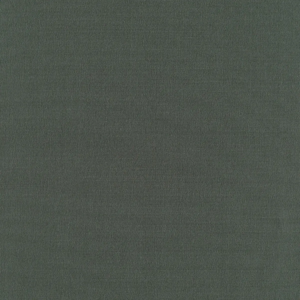 GIORDANO TAFFETA_ PEAT