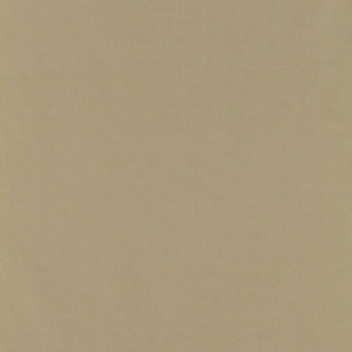 GIORDANO TAFFETA_ PUTTY