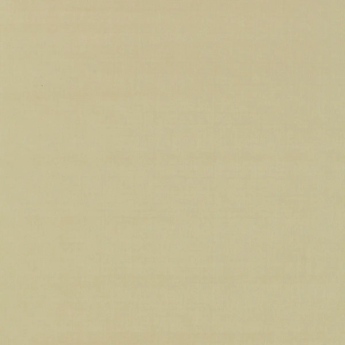 GIORDANO TAFFETA_ SESAME