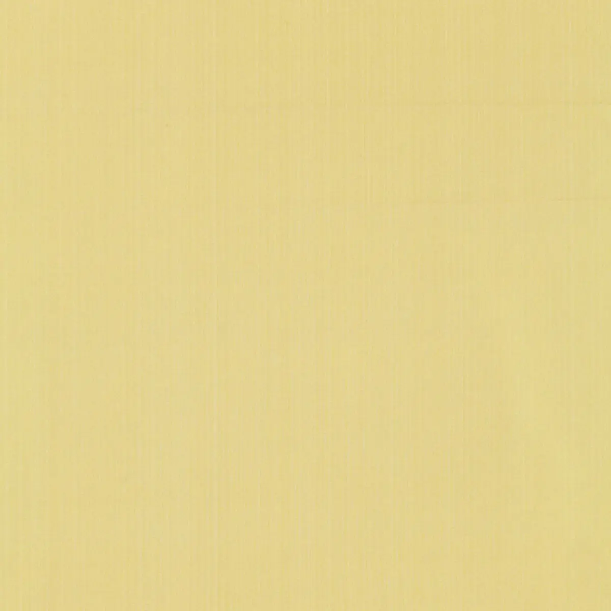 GIORDANO TAFFETA_ BUTTER