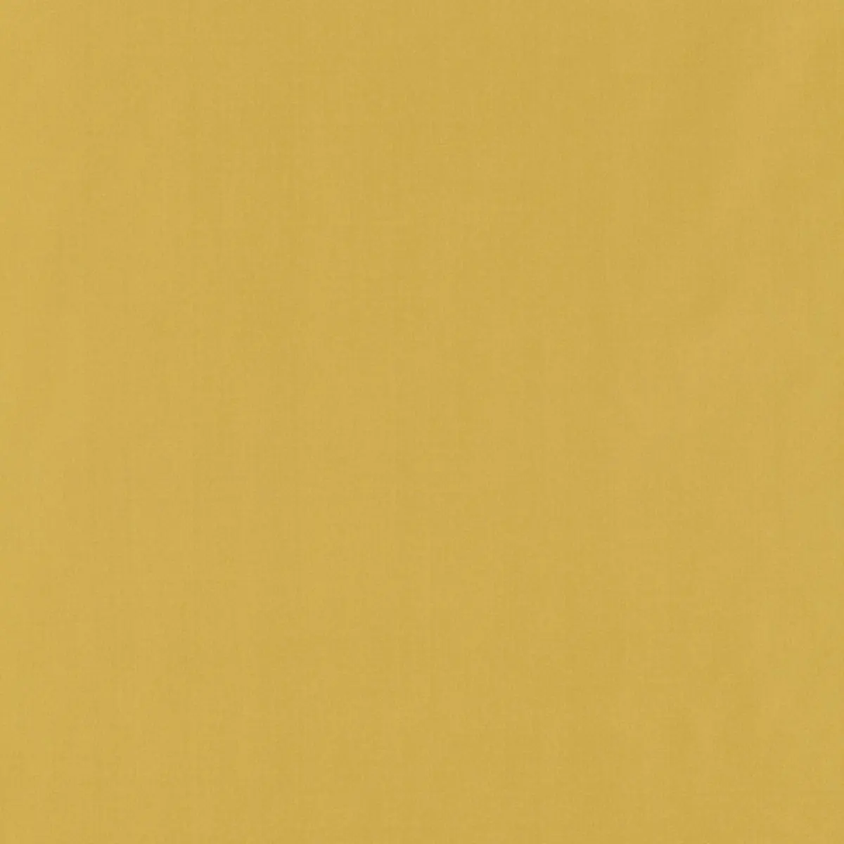 GIORDANO TAFFETA_ BUTTERCUP