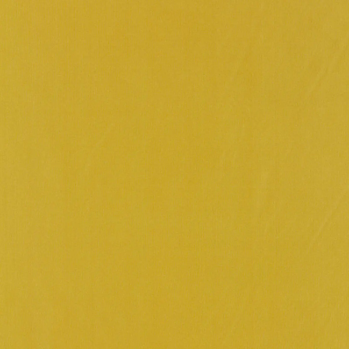 GIORDANO TAFFETA_ CITRON