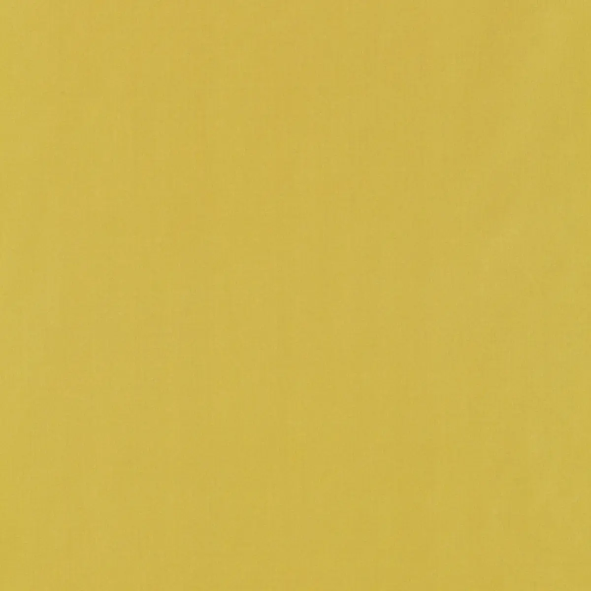 GIORDANO TAFFETA_ CHARTREUSE
