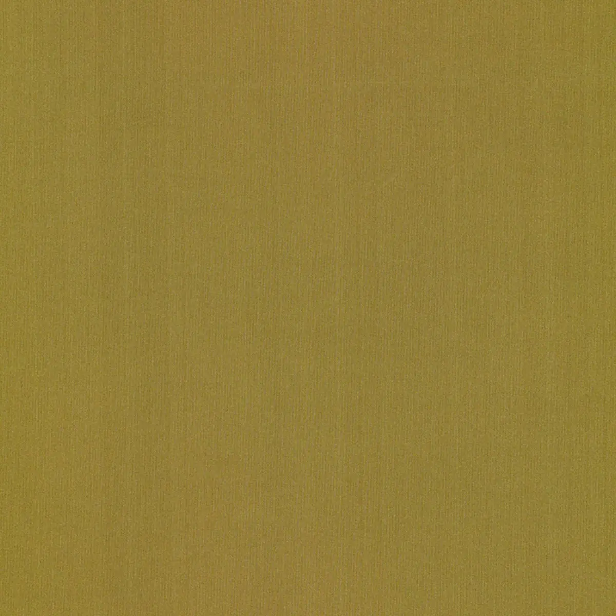 GIORDANO TAFFETA_ SAFARI
