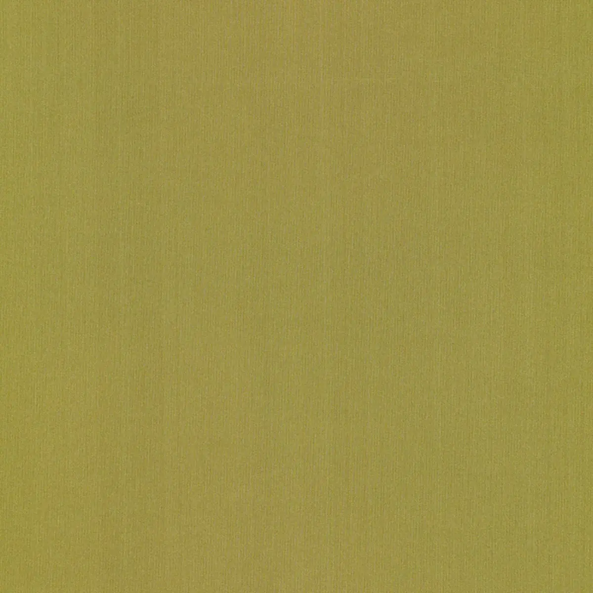 GIORDANO TAFFETA_ OLIVINE