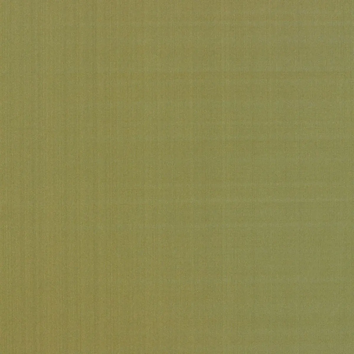 GIORDANO TAFFETA_ LICHEN