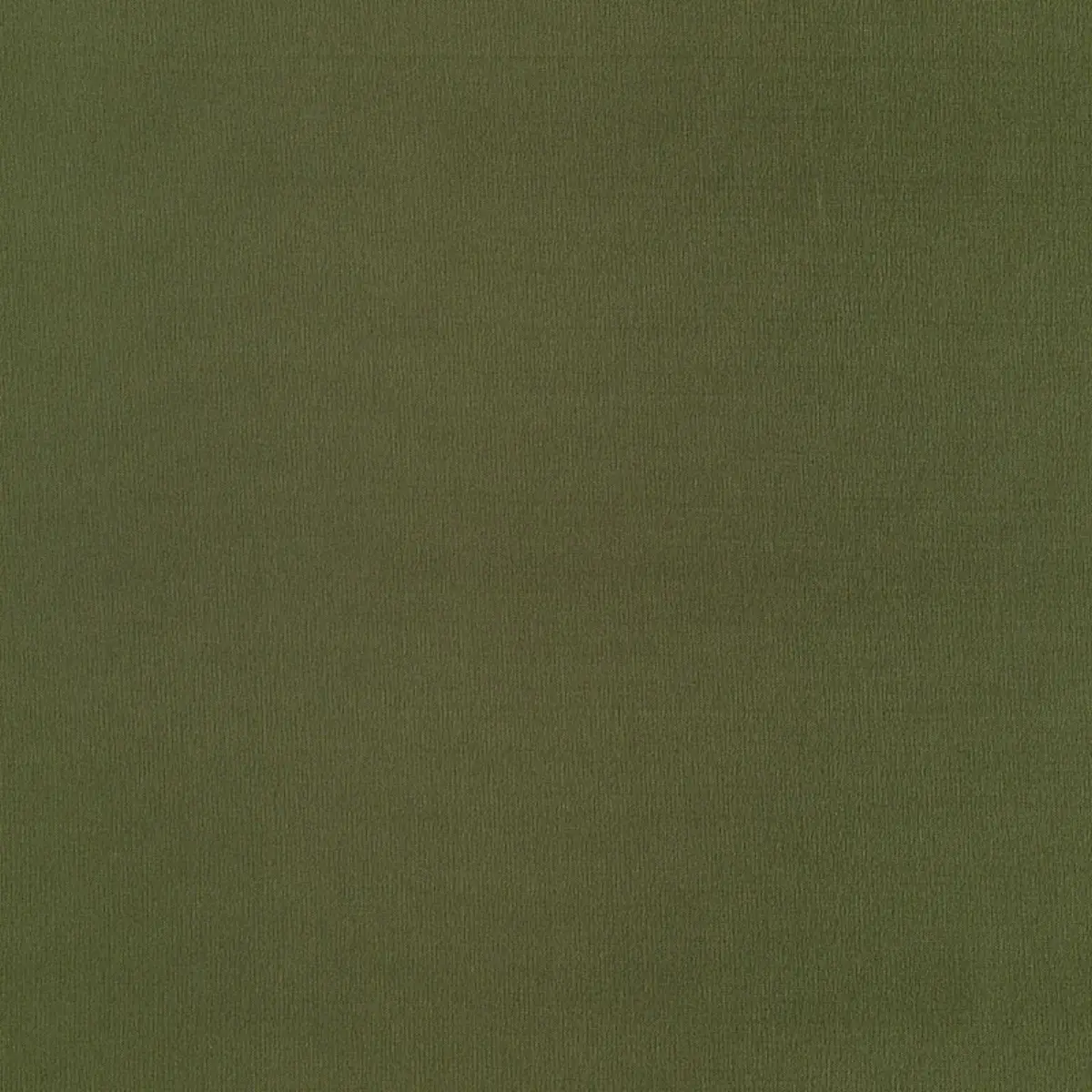 GIORDANO TAFFETA_ PINE