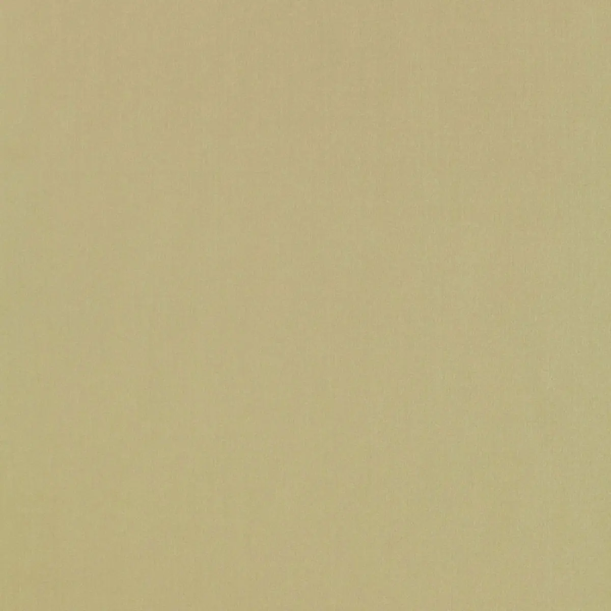 GIORDANO TAFFETA_ CELERY