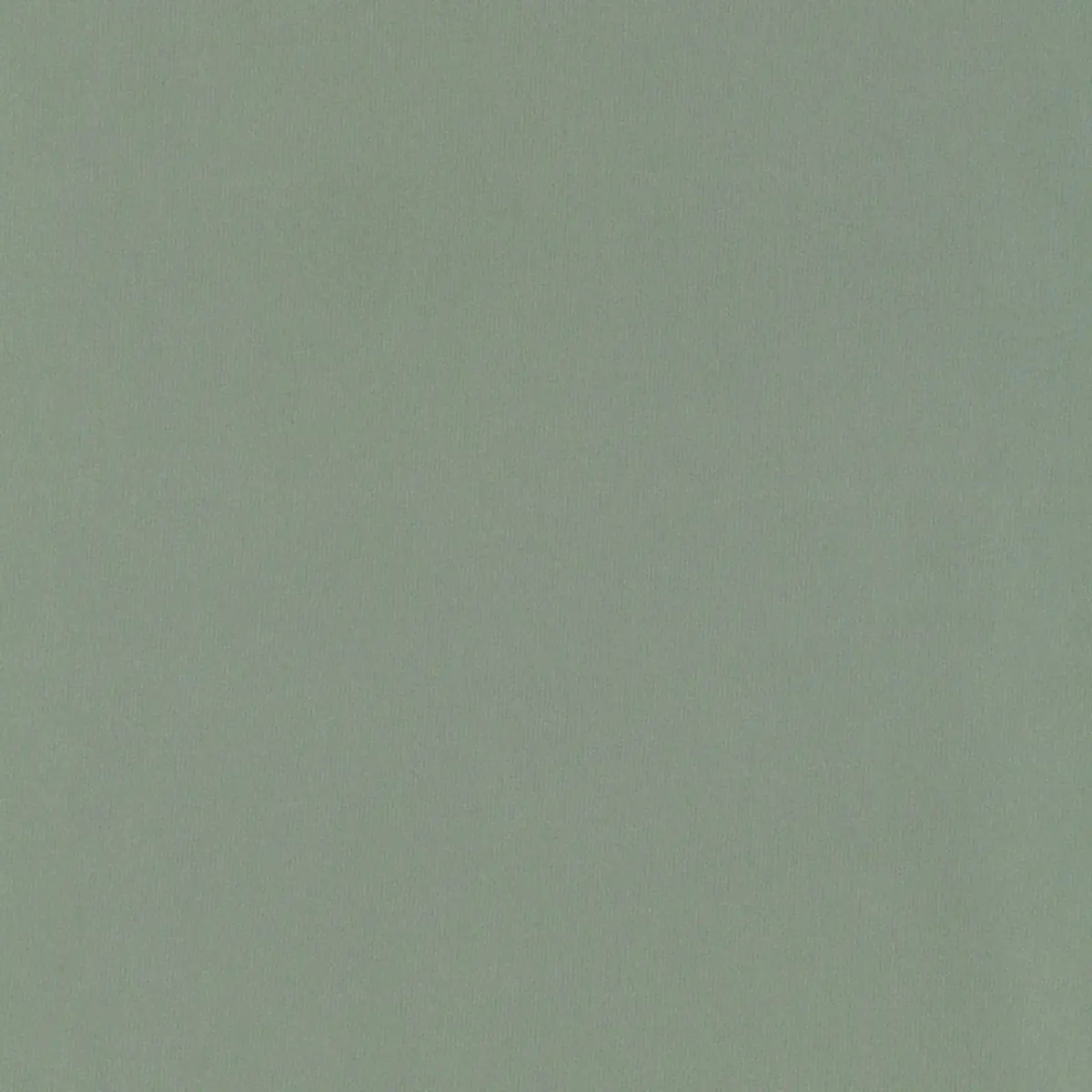 GIORDANO TAFFETA_ SPANISH MOSS