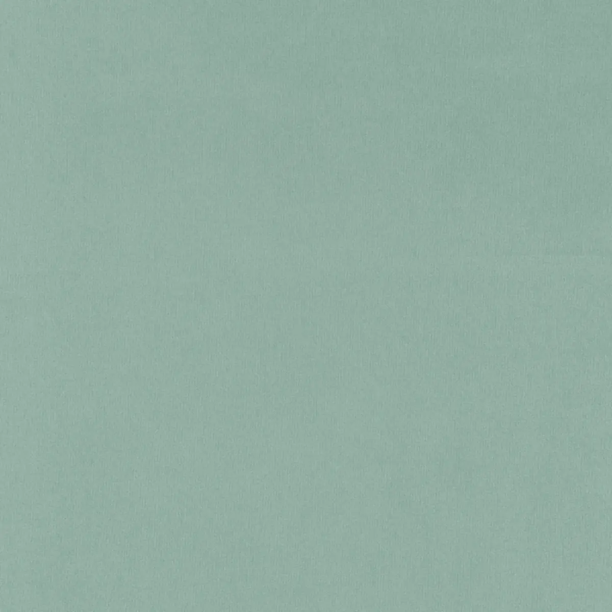 GIORDANO TAFFETA_ POOL