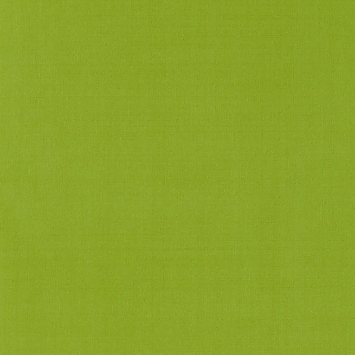 GIORDANO TAFFETA_ LIME