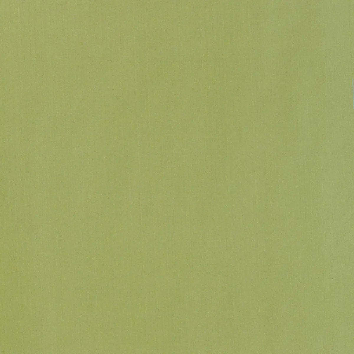 GIORDANO TAFFETA_ KRYPTONITE