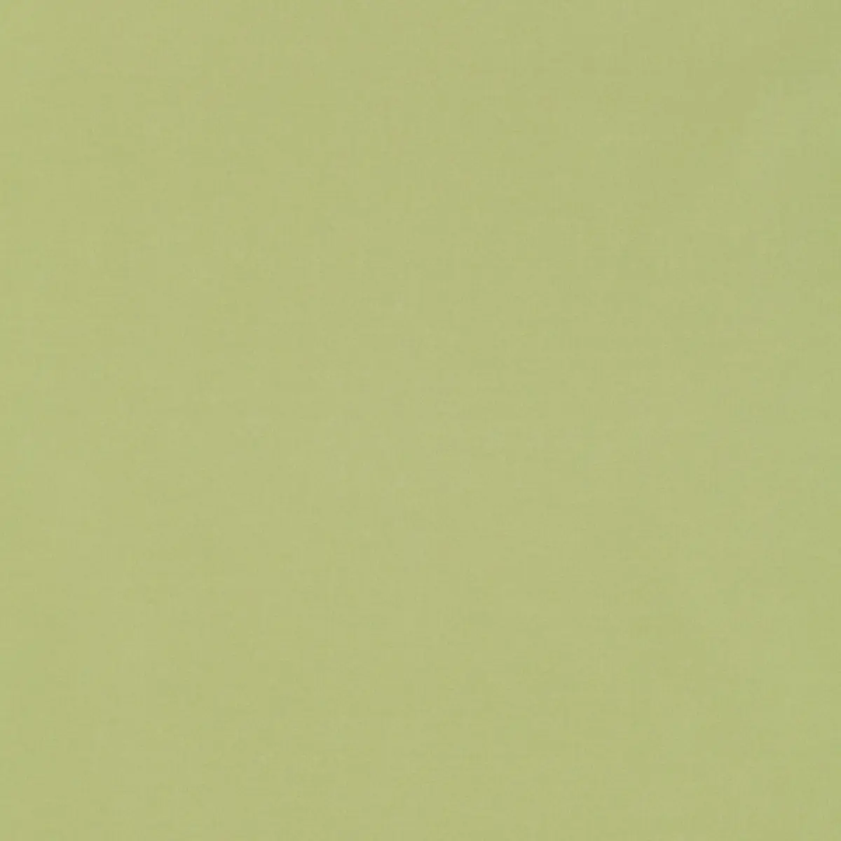 GIORDANO TAFFETA_ MINT JULEP