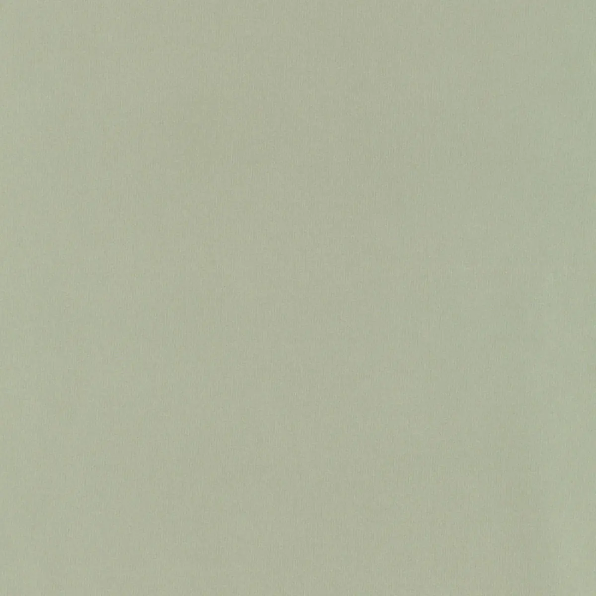 GIORDANO TAFFETA_ CELADON