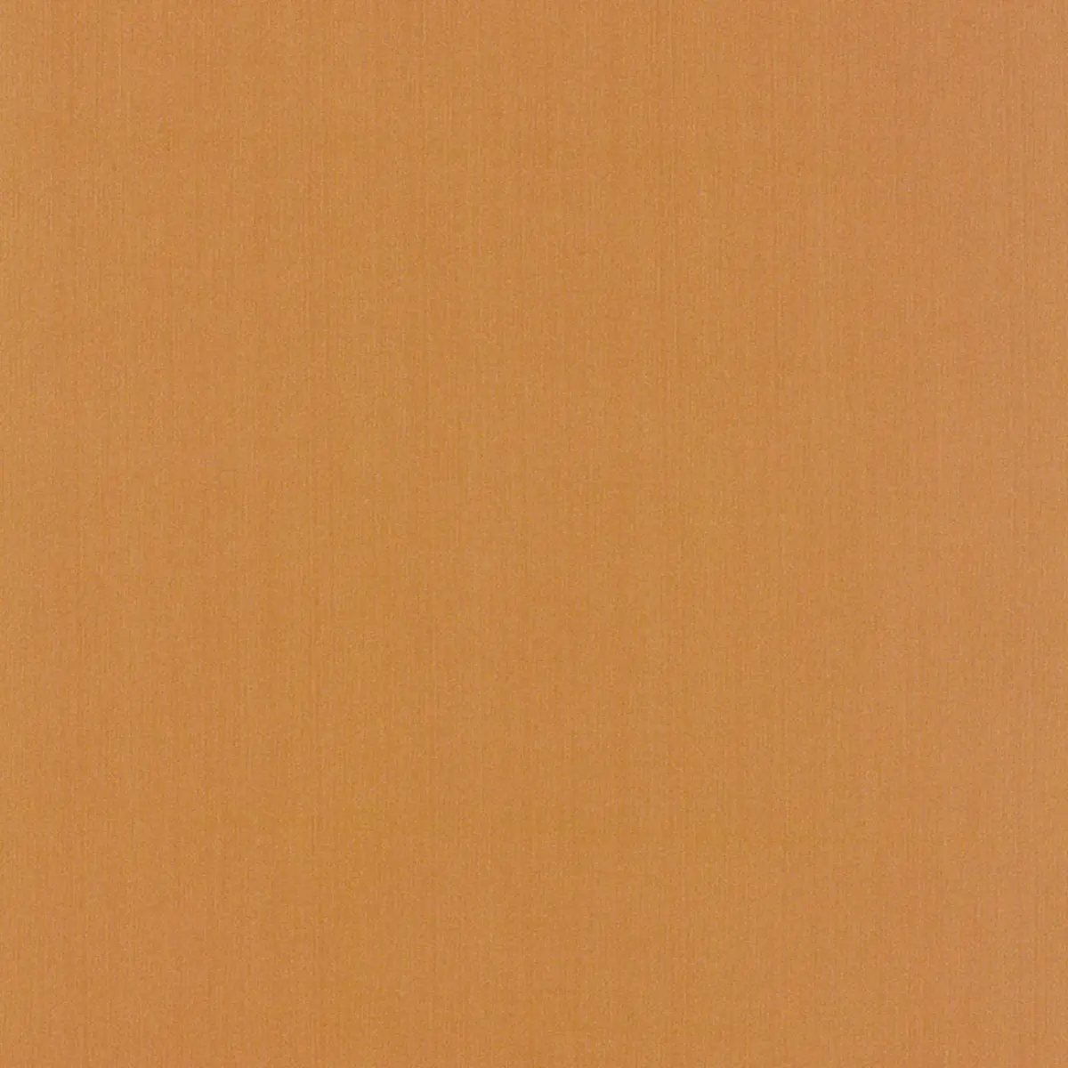 GIORDANO TAFFETA_ NECTAR