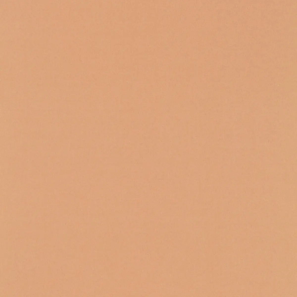 GIORDANO TAFFETA_ CAMEO