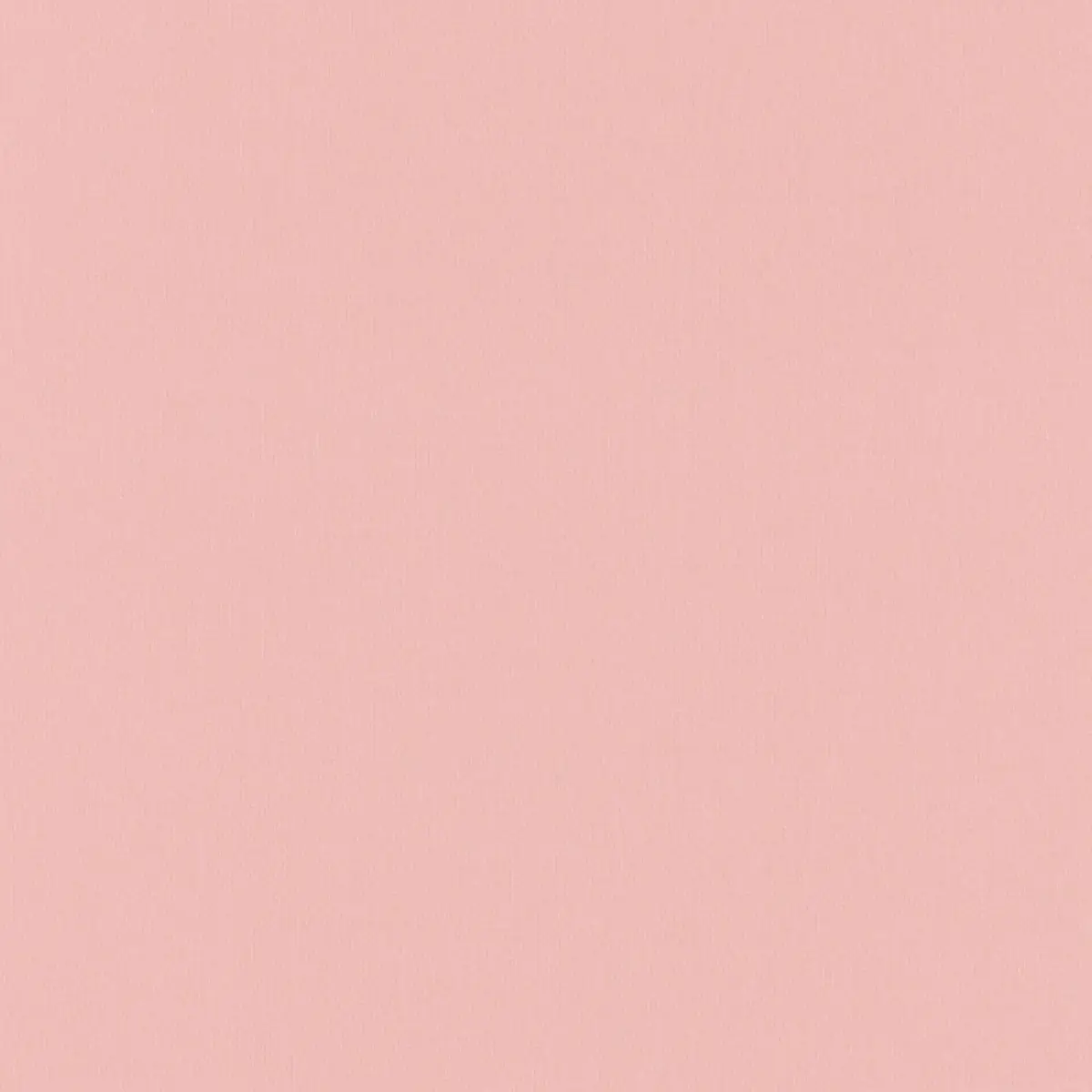 GIORDANO TAFFETA_ BLUSH