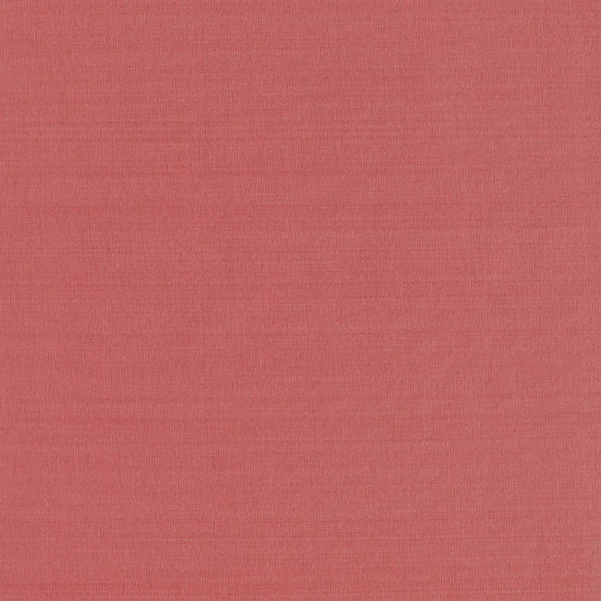 GIORDANO TAFFETA_ SORBET