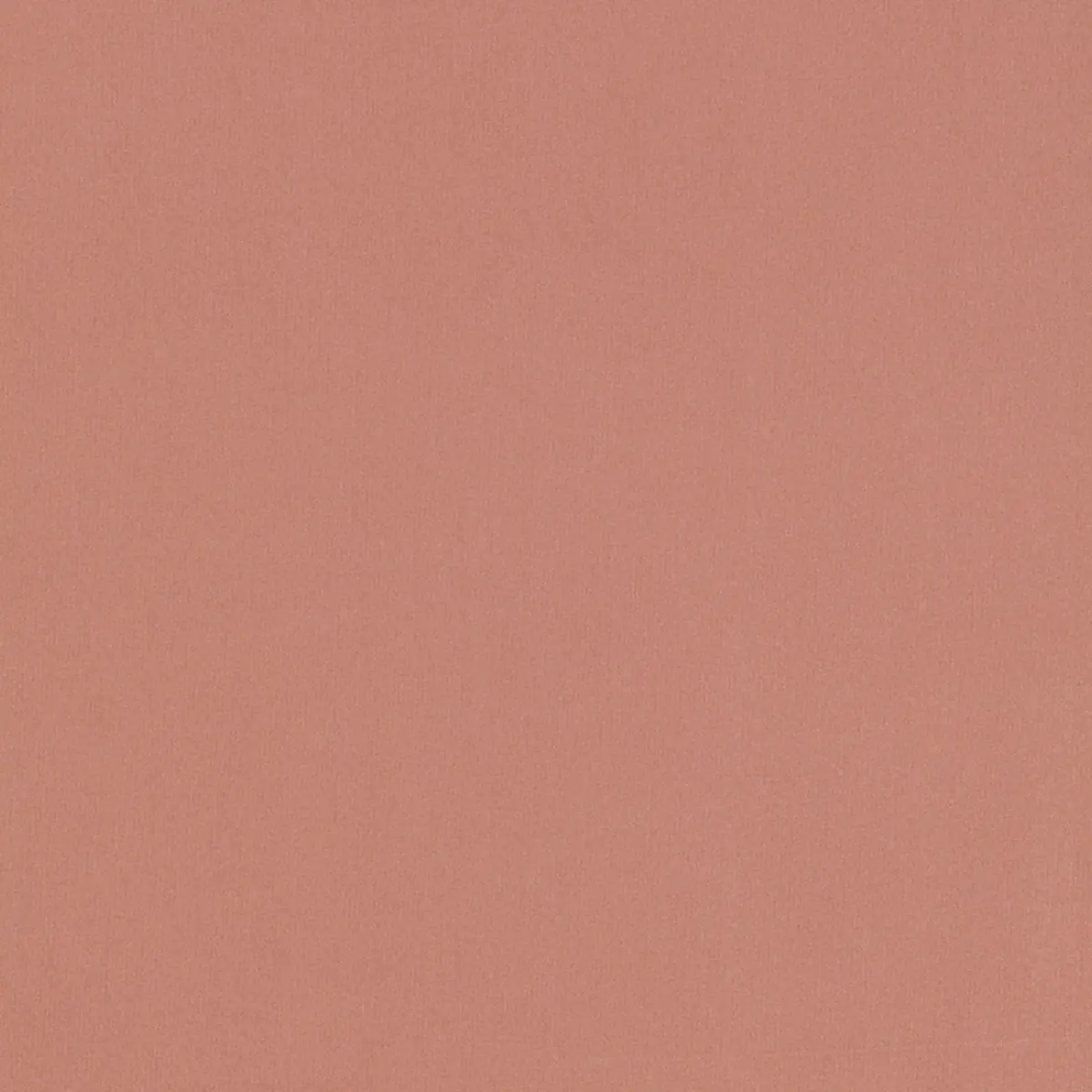 GIORDANO TAFFETA_ WOODROSE