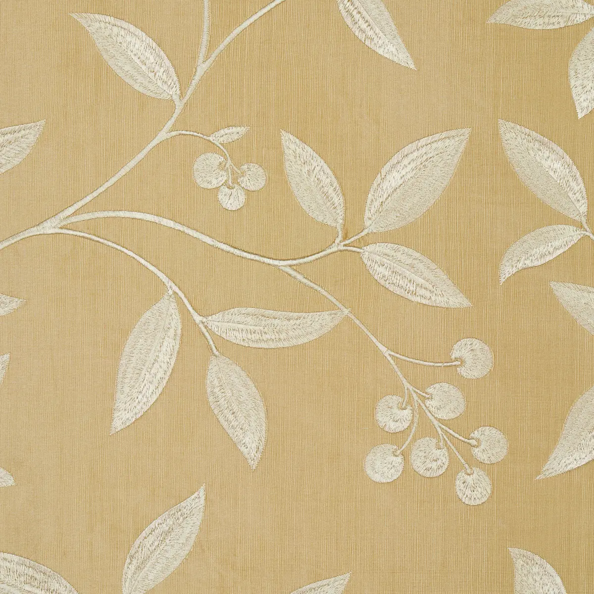 Adelaide Embroidery_ BLONDE