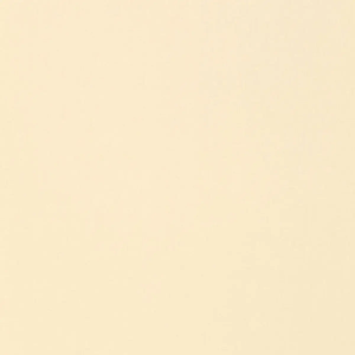 ISOLDE COTTON WEAVE_ CHAMOIS