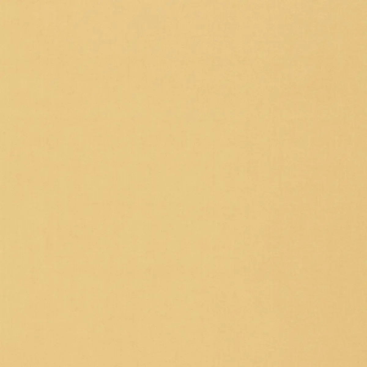 ISOLDE COTTON WEAVE_ CAMEL