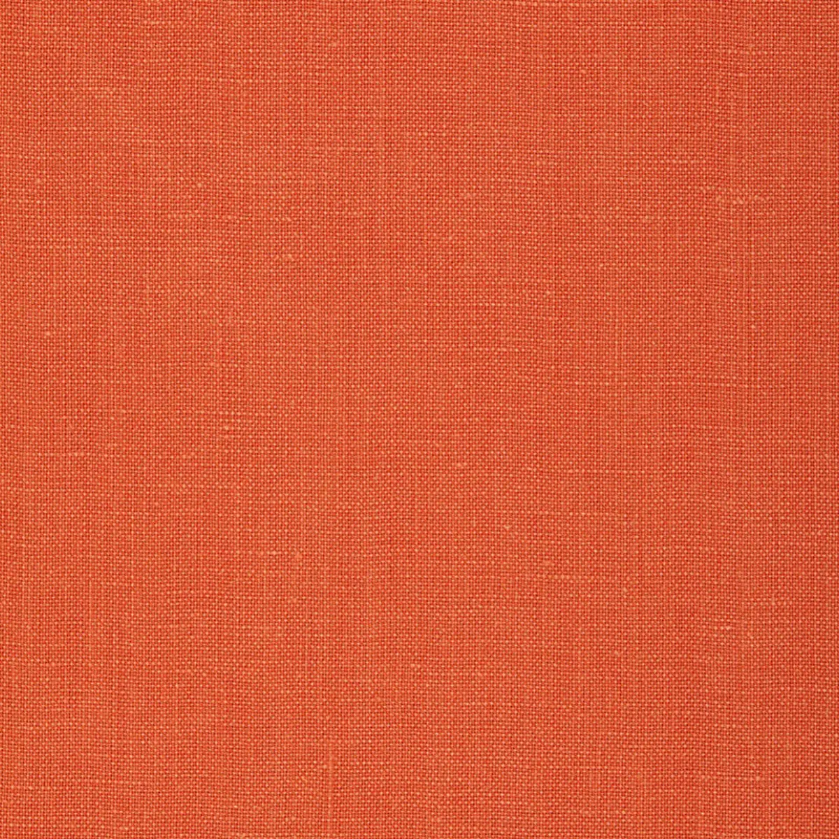 GWENETH LINEN_ VALENCIA