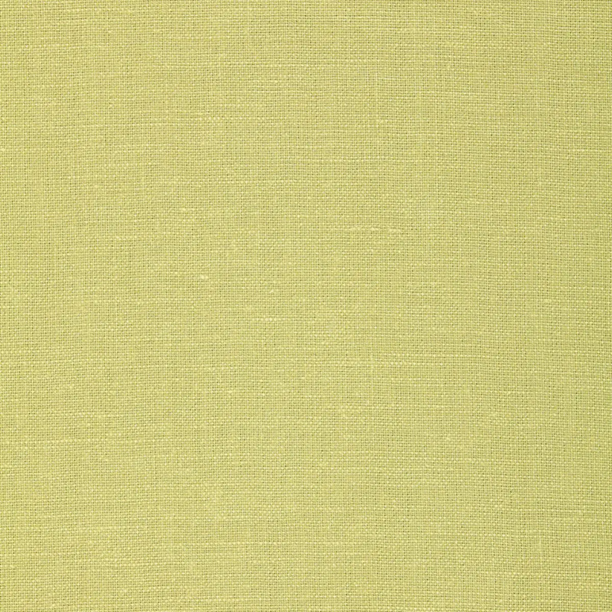 GWENETH LINEN_ FERN