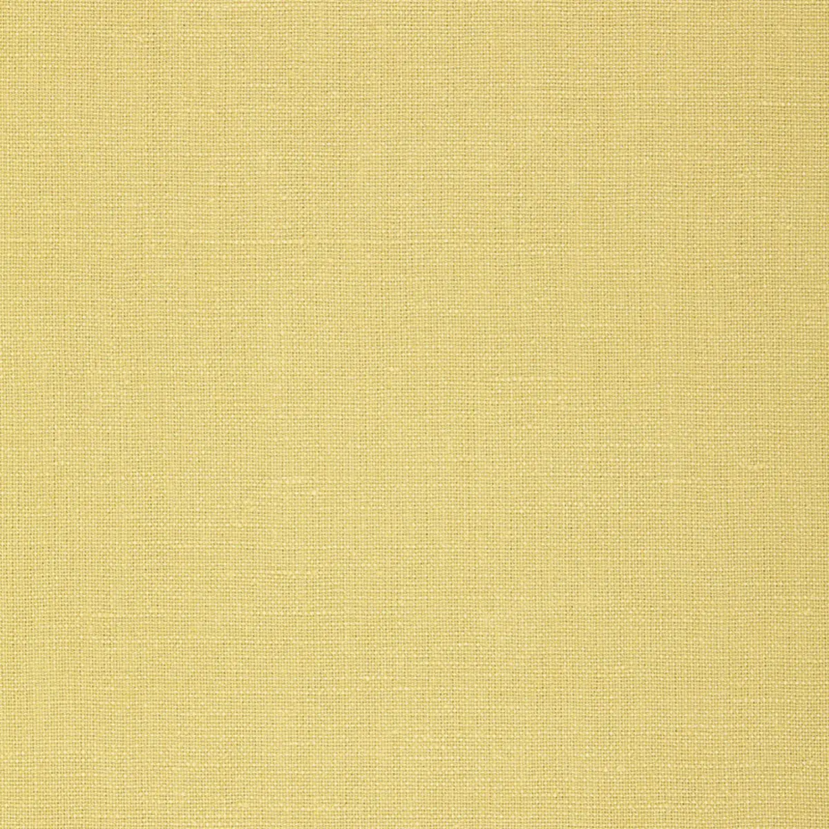 GWENETH LINEN_ LIMEADE