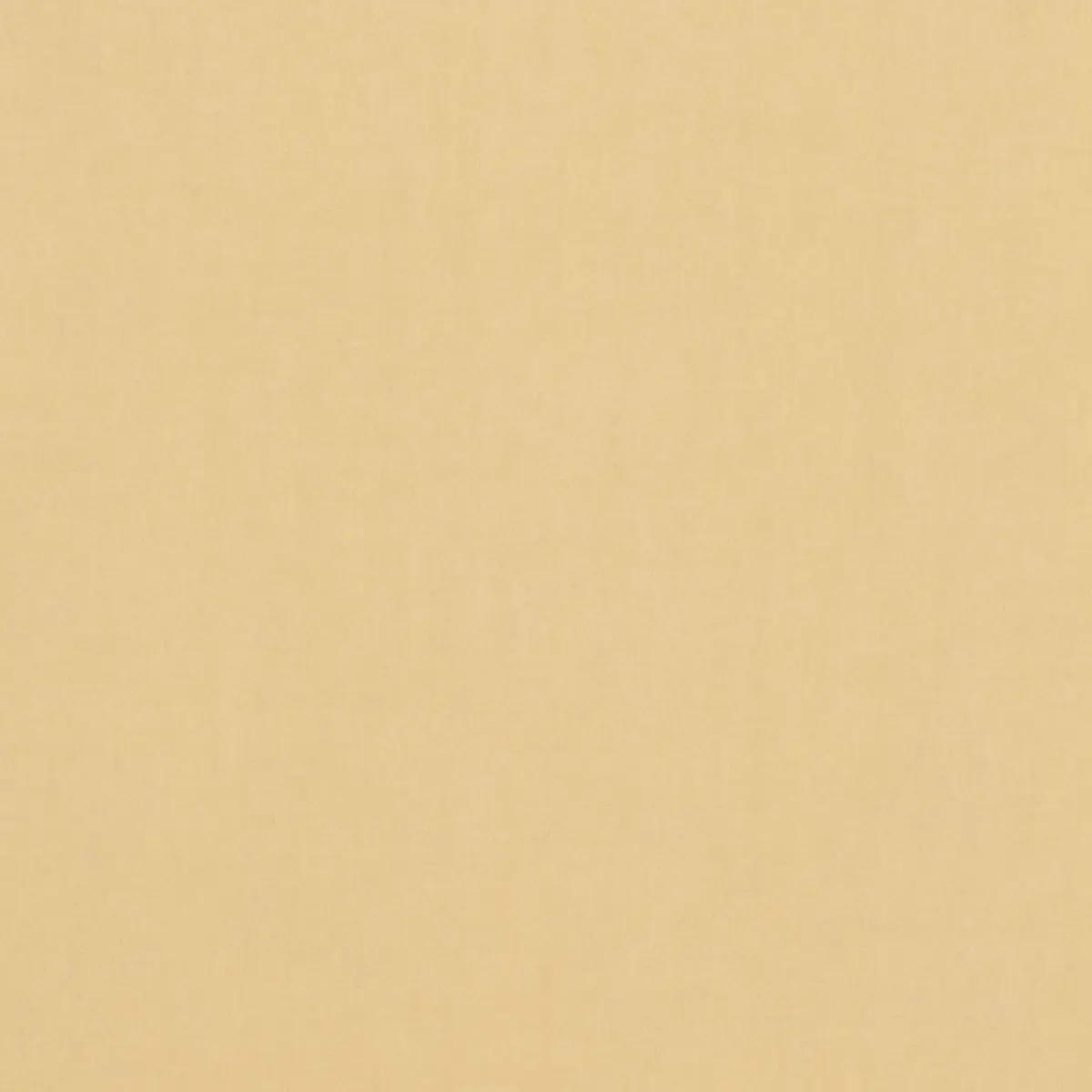 TRISTAN COTTON WEAVE_ CHAMOIS