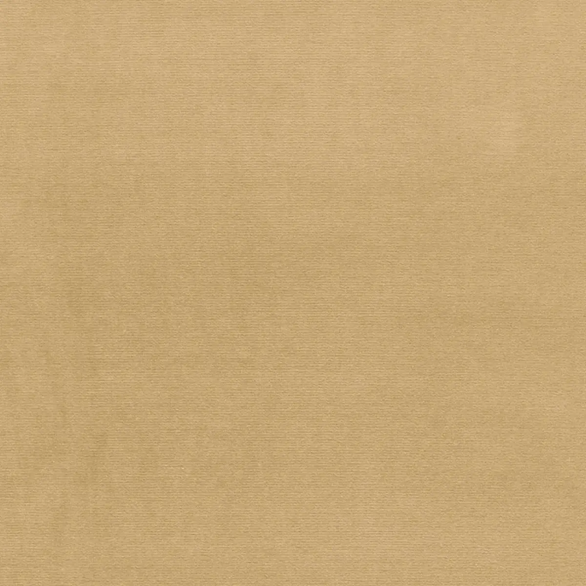 GAINSBOROUGH VELVET_ PEANUT