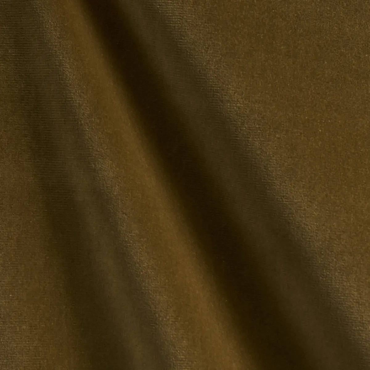 GAINSBOROUGH VELVET_ CHANTERELLE