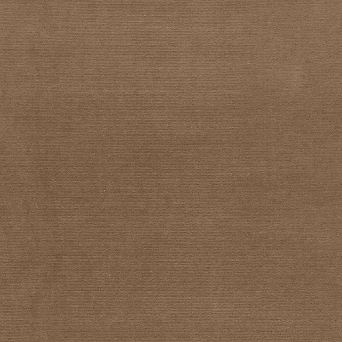 GAINSBOROUGH VELVET_ ANTELOPE