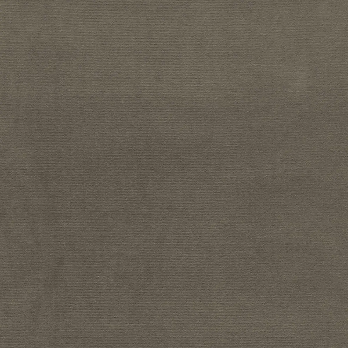 GAINSBOROUGH VELVET_ MOLESKIN