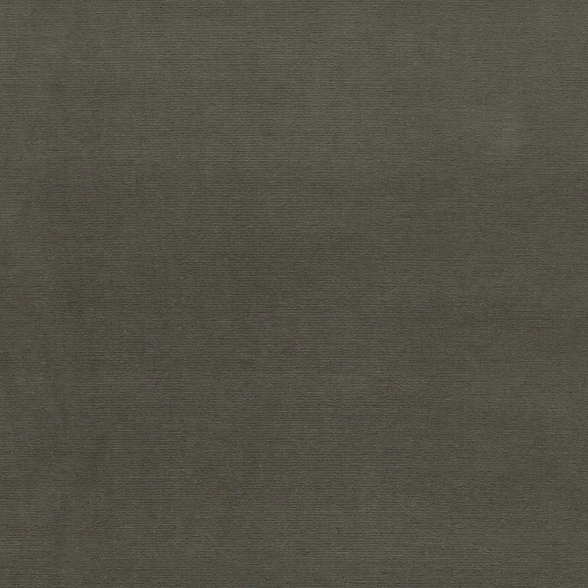 GAINSBOROUGH VELVET_ CARBON