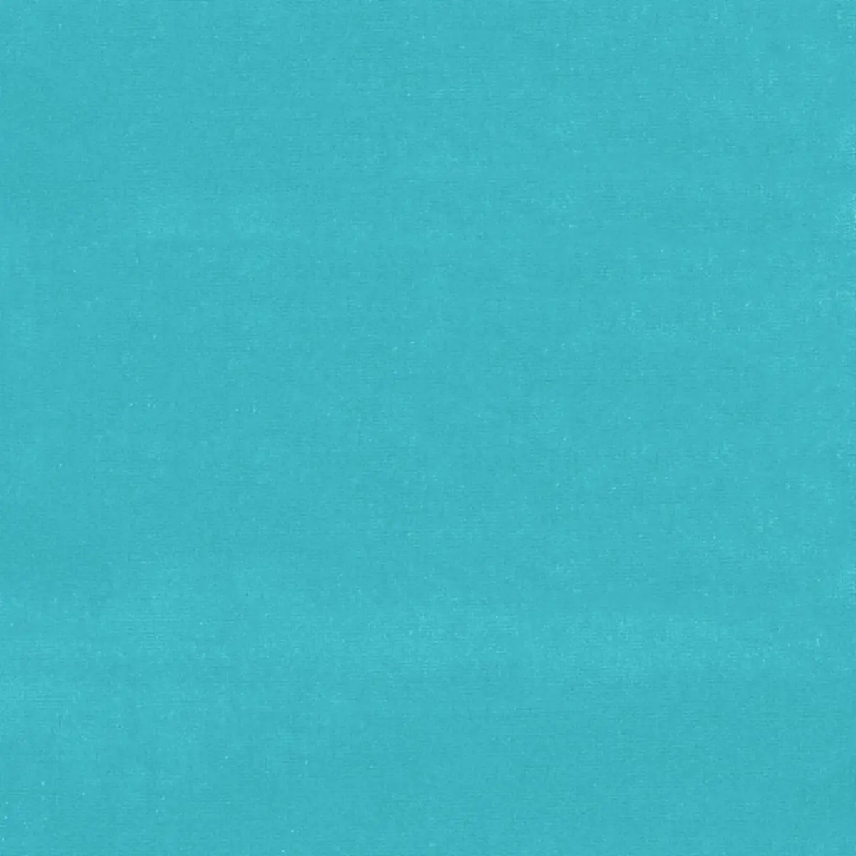 GAINSBOROUGH VELVET_ POOL