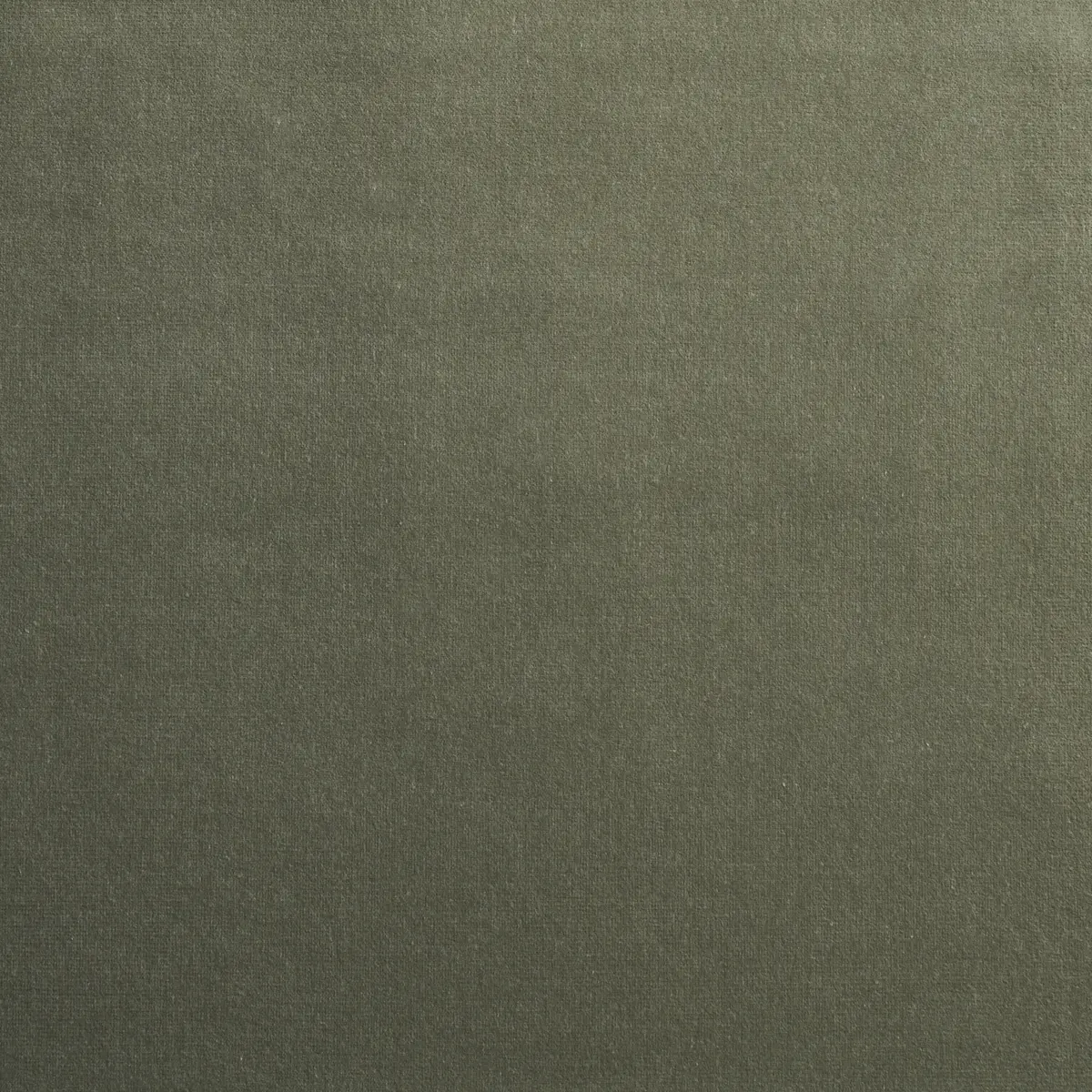 GAINSBOROUGH VELVET_ PATINA
