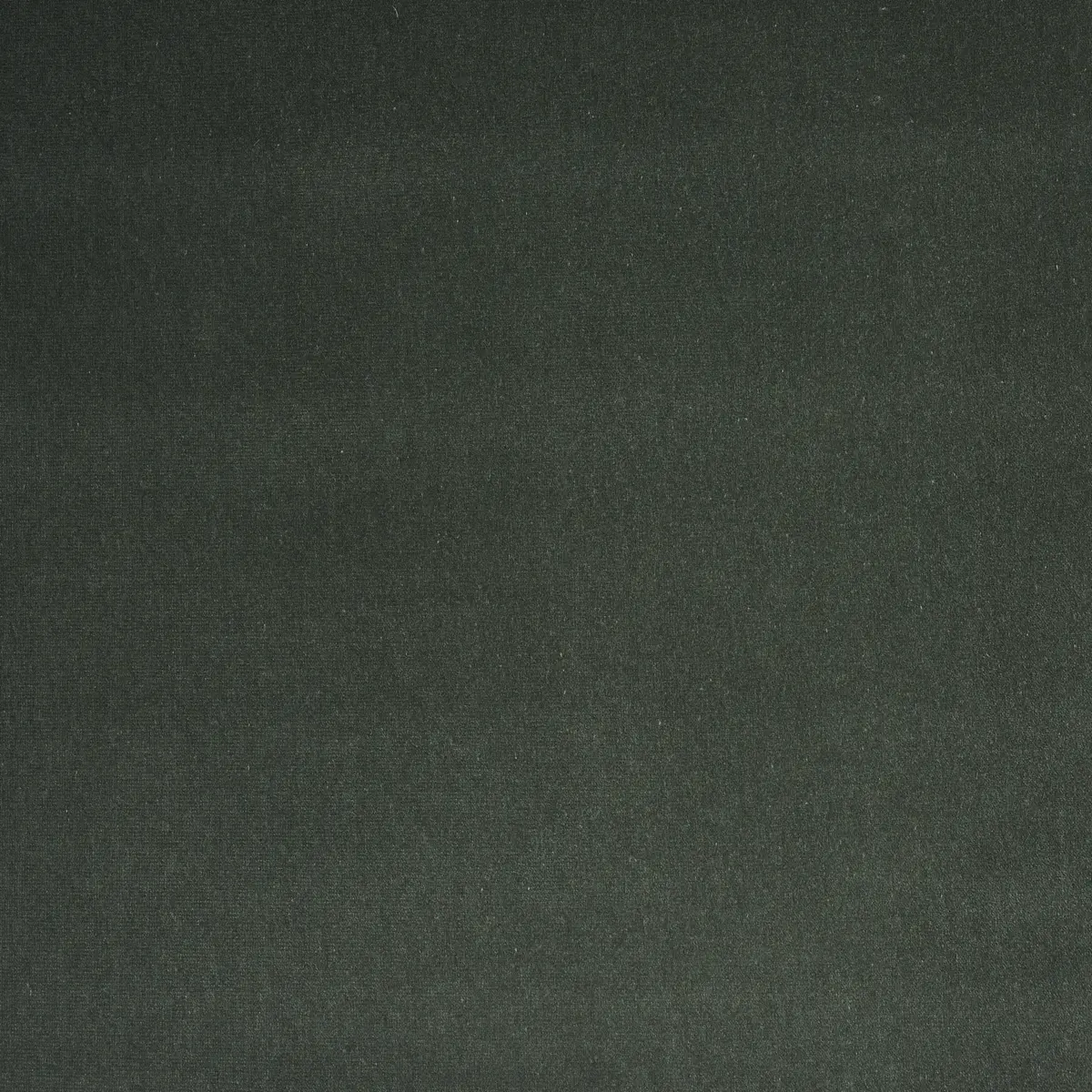 GAINSBOROUGH VELVET_ BLUE SPRUCE