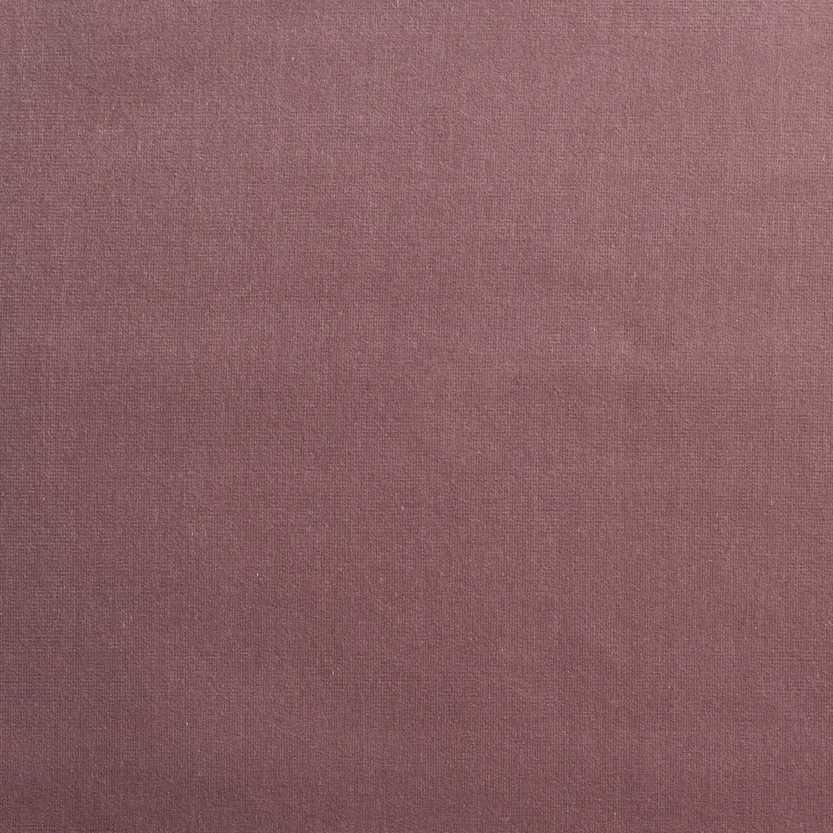 GAINSBOROUGH VELVET_ MAUVE