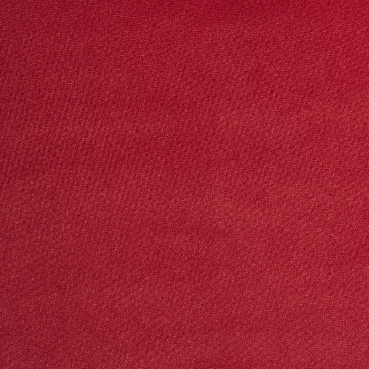 GAINSBOROUGH VELVET_ PEONY