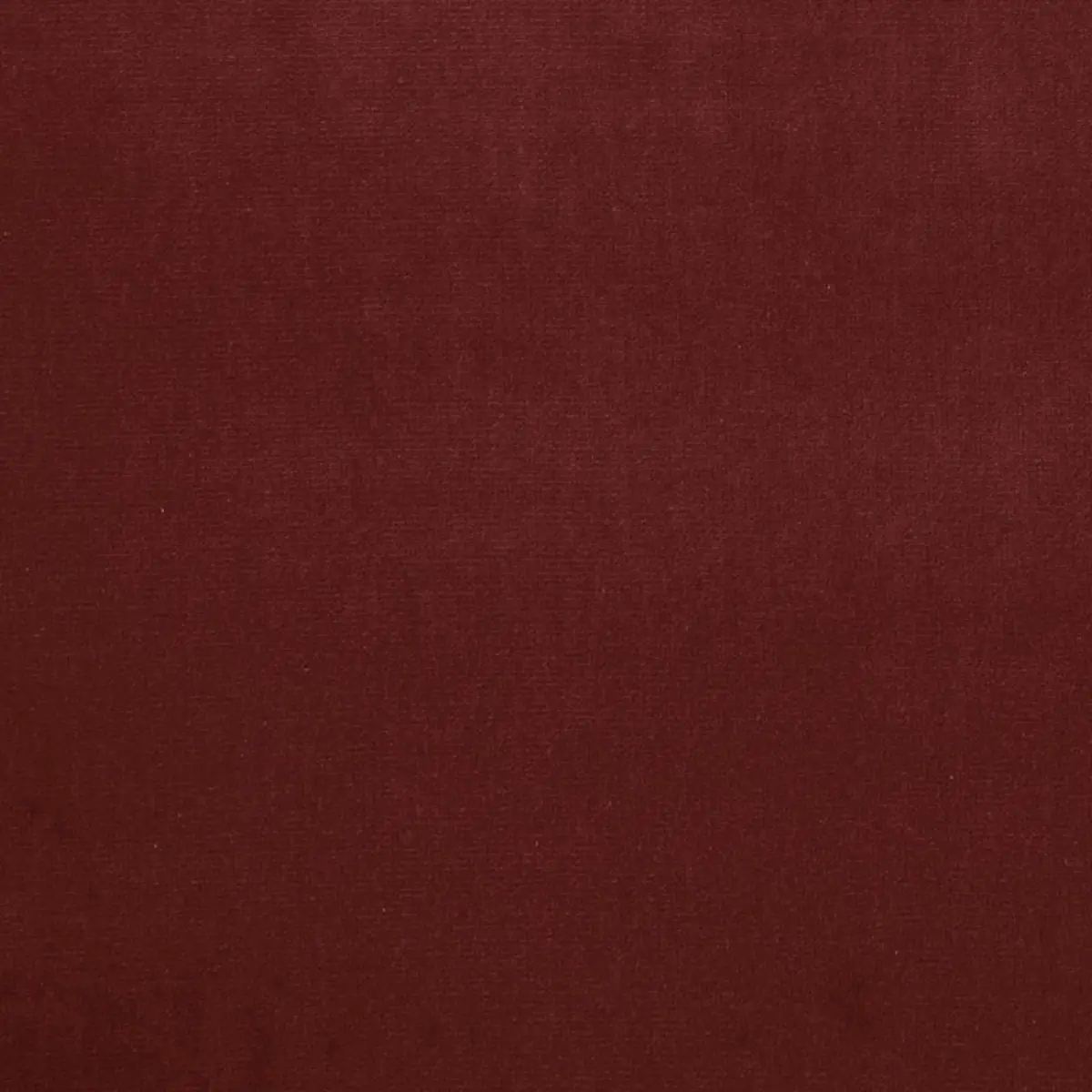 GAINSBOROUGH VELVET_ BEGONIA