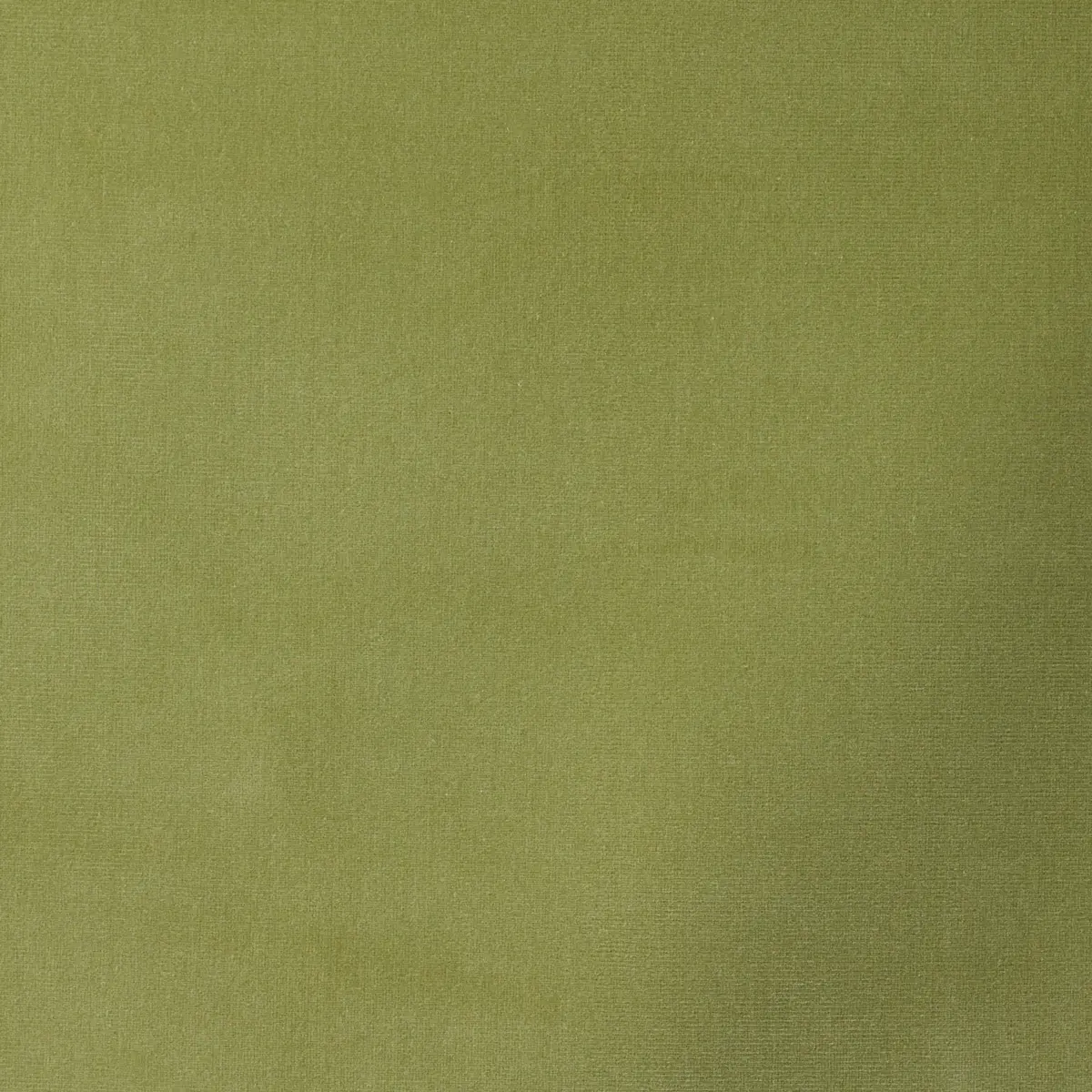 GAINSBOROUGH VELVET_ MING