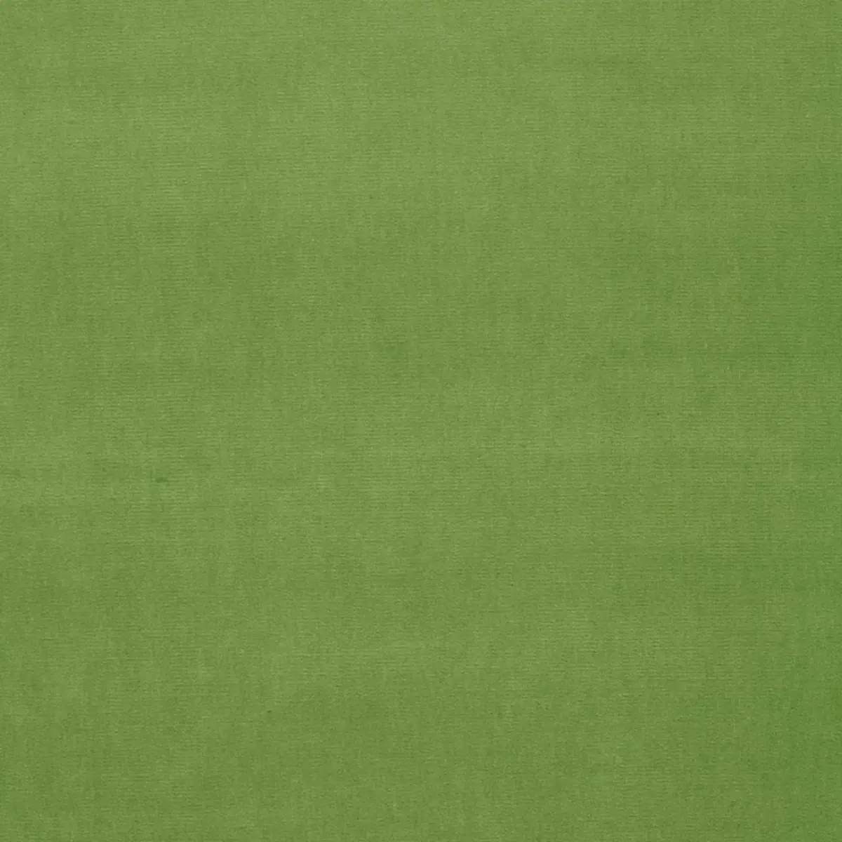 GAINSBOROUGH VELVET_ GRASS