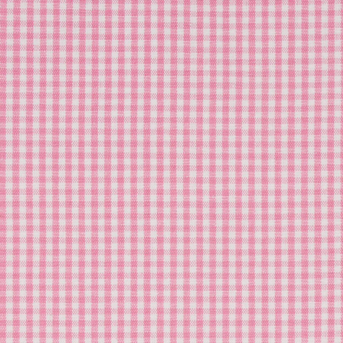 BARNET COTTON CHECK_ BLUSH